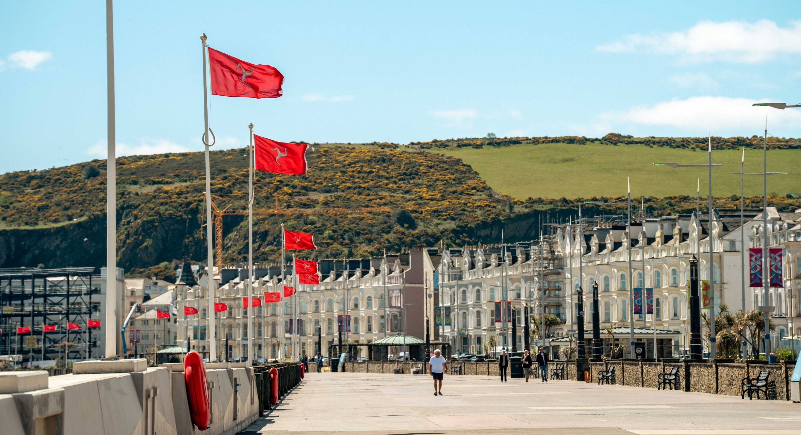 Flags-Douglas-Promenade-Gardens